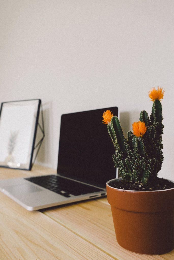 Actions Marketing Juin