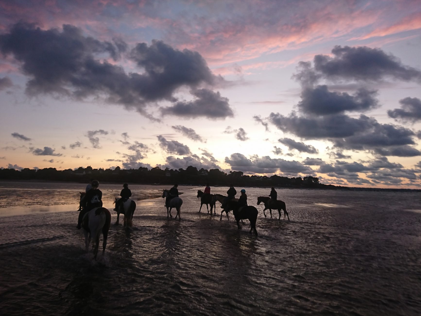 Chevaux Dinard