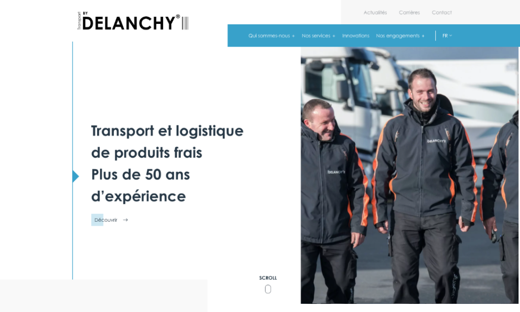 Webdesign Head Delanchy