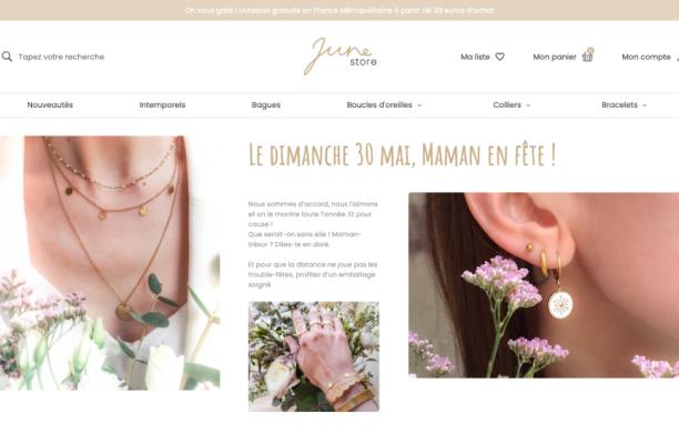 Webdesign Ecran Accueil Junestore