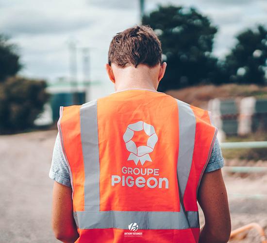 Photo D'ambiance Groupe Pigeon