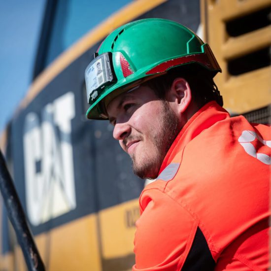 Photo D'ambiance Groupe Pigeon